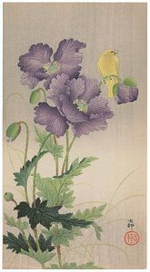 Ohara Koson - Klatschmohn und Atlantikkanarienvogel (bearbeitet)