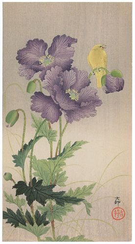 Ohara Koson - Corn poppy and Atlantic canary (edited)