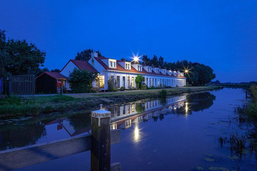 Woudbloem by wim van de bult