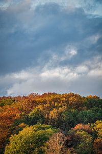 Herbstfarben auf dem Balenberg