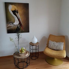 Customer photo: Portrait Of A Pelican by Diana van Tankeren, on canvas
