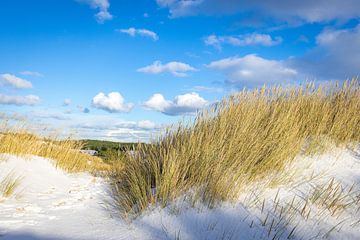 Prachtig besneeuwd duinlandschap Schoorl van René Groeneveld