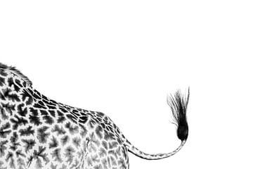 Giraffe staart van Marijn Heuts