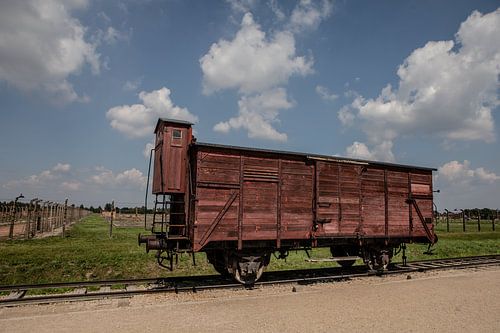 wagon de chemin de fer de birkenau