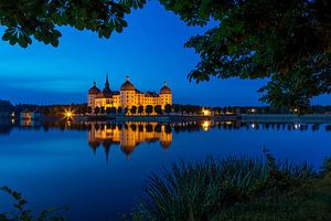 Schloss Moritzburg zur blauen Stunde