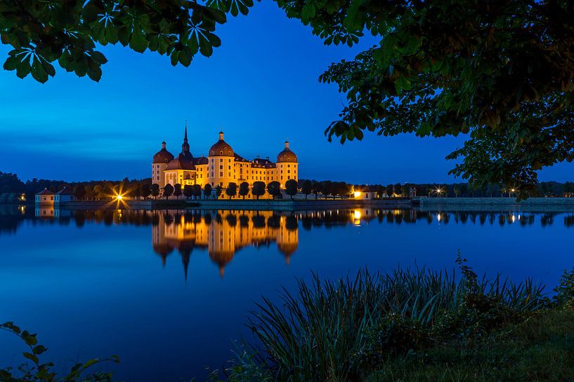 Moritzburg Castle at the blue hour by Frank Herrmann