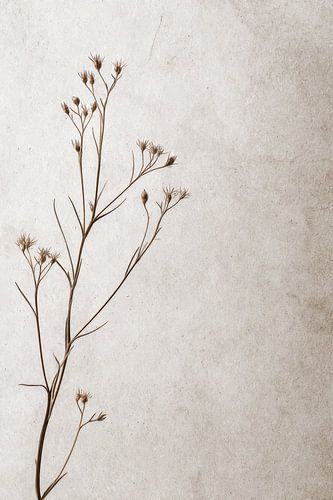 Abstracte kunst Japan