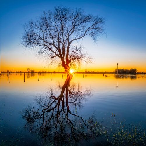 De laatste zonnestralen over de IJssel