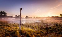 Parc national De Meinweg par Juul Hekkens Aperçu