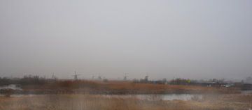 Kinderdijk in de mist met de windmolens.