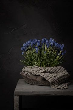 Landelijk stilleven met blauwe druifjes in houten schaal met linnen doek (verticaal) van Mayra Fotografie