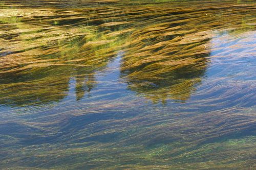 art de l'écoulement de l'eau