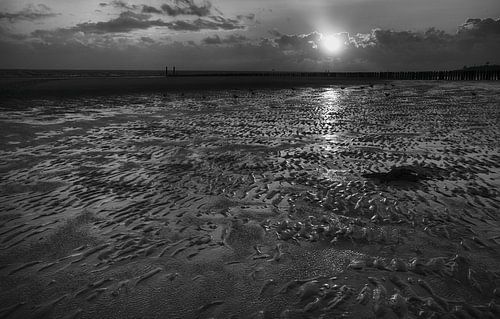 Zeezicht in de avond