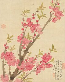 Flowers P. A., Liang Yuwei