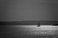 Sailing by Martin Winterman thumbnail