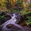 Herfst in de Harz van Steffen Gierok