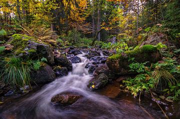 Herfst in de Harz van Steffen Gierok