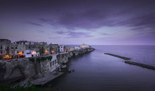 Blauw uur boven Vieste. Puglia, Italië