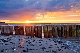 Buhne in Zingst an der Ostsee. Buhnen reichen ins Meer von Martin Köbsch