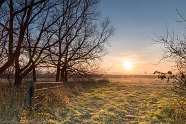 Verlaten erf aan de Gaternissekreek bij Sasput net na zonsopkomst