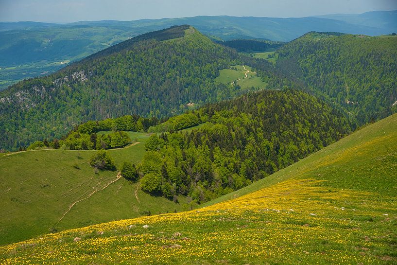 View from the Grand Colombier in France by Tanja Voigt
