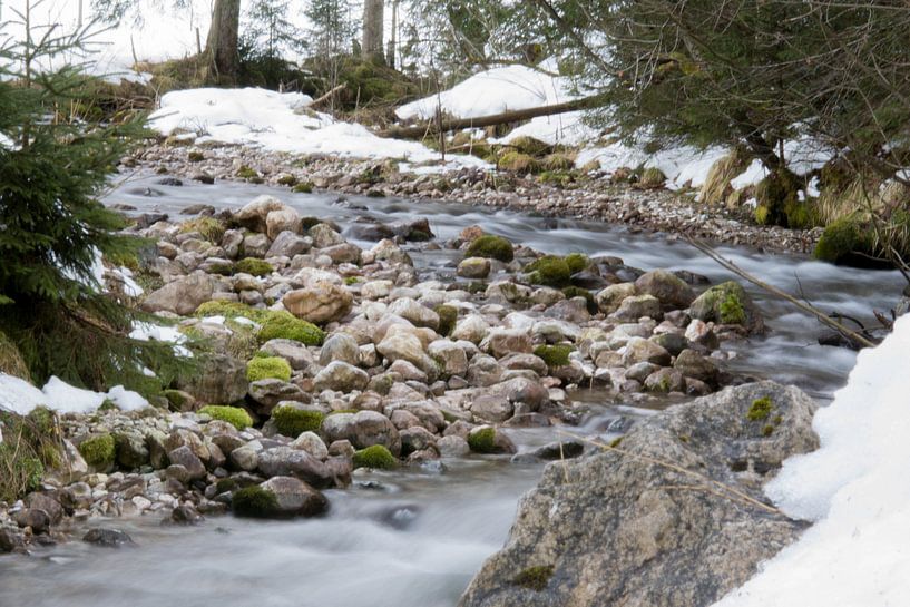 Natuur in Oostenrijk by Marjolijn Barten