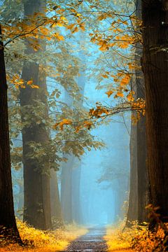 Magischer Herbst von Lars van de Goor