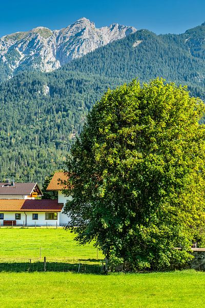 Zomer in Wallgau van Thomas Riess