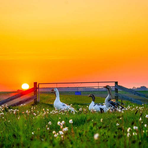 Over the Hills at Sunset