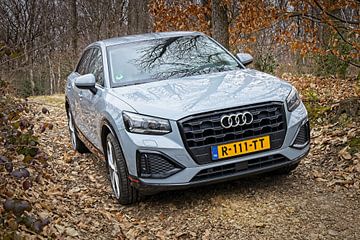 Audi Q2 35TFSI by Rob Boon