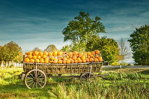 Bon automne