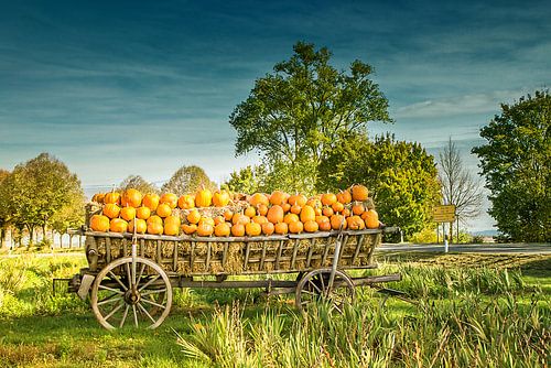 Bon automne