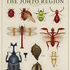 Arthropods from Johto by Steven Kingsbury