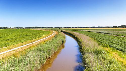 Landscape surroundings Pieterburen in Groningen