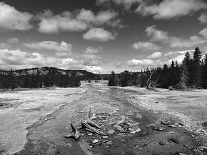 Yellowstone