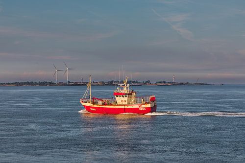 bateau sur la mer des wadden