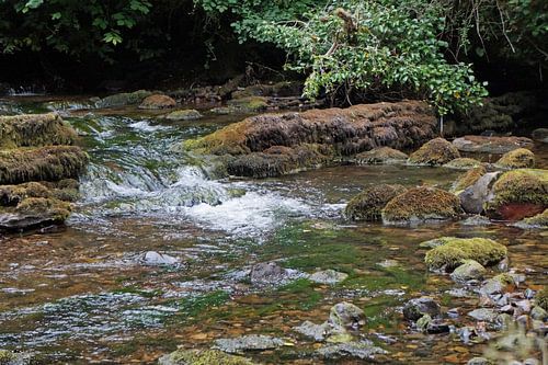 Fowley's Falls in Ierland