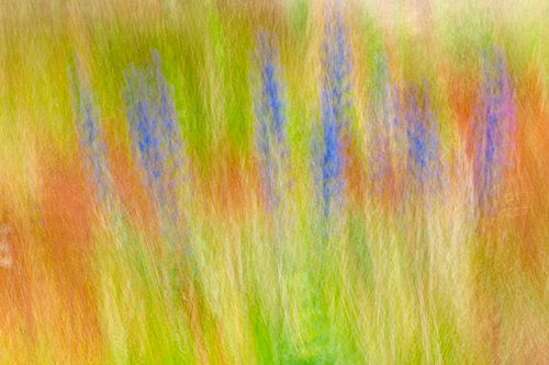 Impressionistische natuur