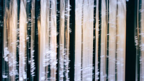 Abstract forest landscape