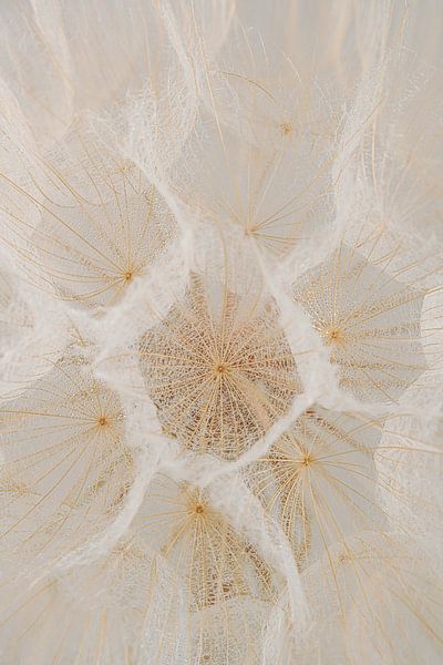 Calm and Serene: A structure from nature by Marjolijn van den Berg