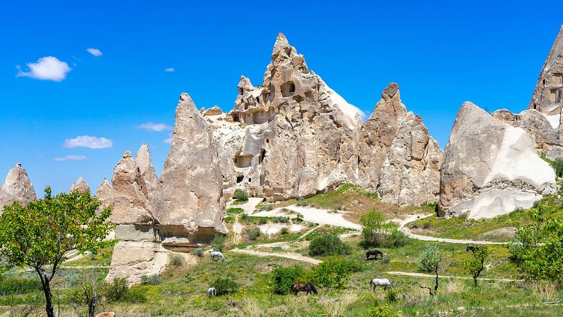 Höhlenkirche in einem der Täler von Kappadokien, Türkei von Jessica Lokker