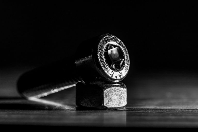 Boulon et écrou par Heino Van der Veken