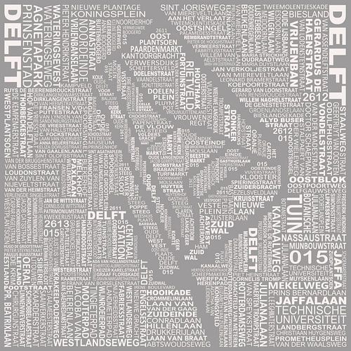 Map of Delft by Stef van Campen