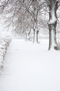 Winterperspektive
