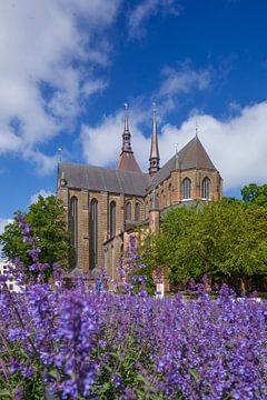 Marienkirche, rostock