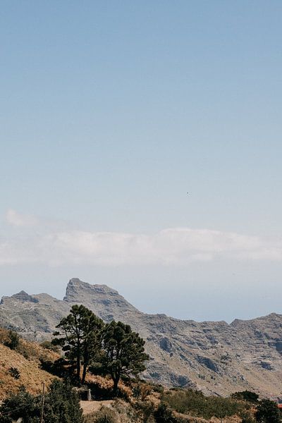 Landscape with mountains on the island of Tenerife by Yvette Baur