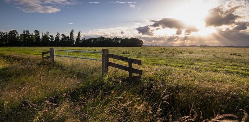 Typisch Nederlands Weidelandschap met Zonnestralen: Een Moment van Rust en Schoonheid van Hevonax Photography