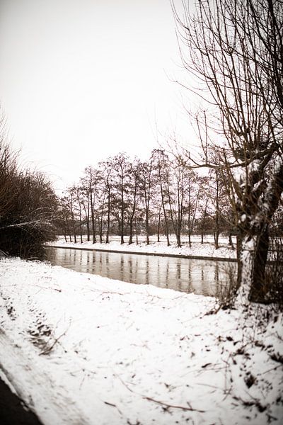 Winter Vibes by Hello Pompoyo