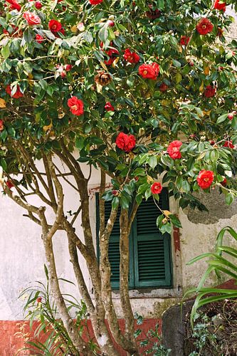 La convivialité à la campagne