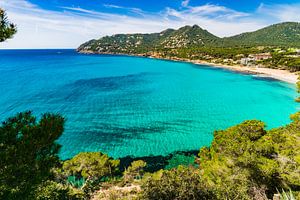 Mooi zicht op de baai van de Canyamelkust op het eiland Mallorca, Spanje Middellandse Zee van Alex Winter